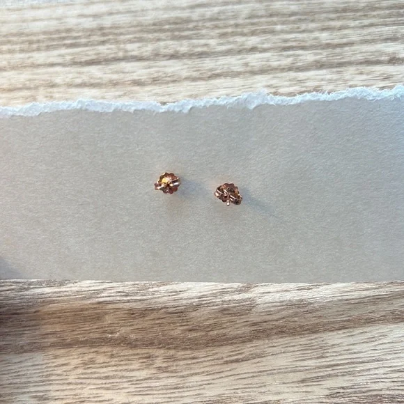 Bario Neal Bog Studs, 14KT Rose Gold - Picture 6 of 6